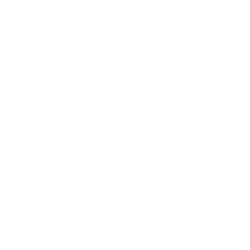 NetApp, Inc. Share Price